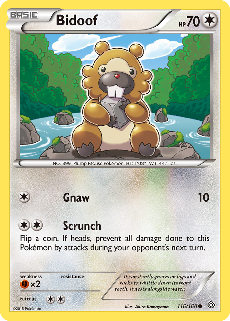 Bidoof (116/160) [XY: Primal Clash] | Good Games Cannington