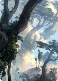 Forest 1 Art Card [Zendikar Rising Art Series] | Good Games Cannington